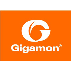 Gigamon Flow Monitoring Lösung